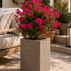 May include: A tall, rectangular planter with a speckled grey stone-like finish containing a vibrant bougainvillea plant with bright magenta flowers and green leaves. The planter has a clean, vertical design and a textured, mottled surface.