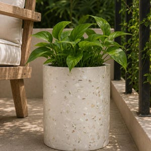 May include: A cylindrical planter with a smooth, light beige terrazzo finish featuring speckled white and tan stone fragments. The planter contains a lush, vibrant green leafy plant with pointed, heart-shaped foliage growing upwards.