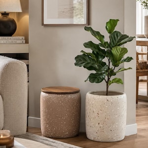 May include: A cylindrical, speckled tan stool with a smooth, circular wooden lid sits beside a cylindrical, speckled cream-colored planter containing a green fiddle leaf fig plant. Both items feature a textured, stone-like finish.