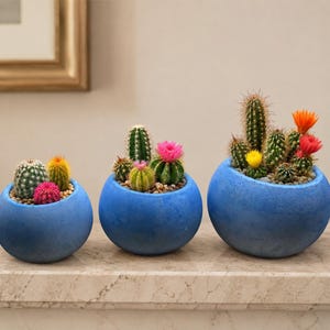 Set of 3 Spherical Concrete Planters | Terrazzo, Plain Cement Pots (2.4, 2, 1.6in)