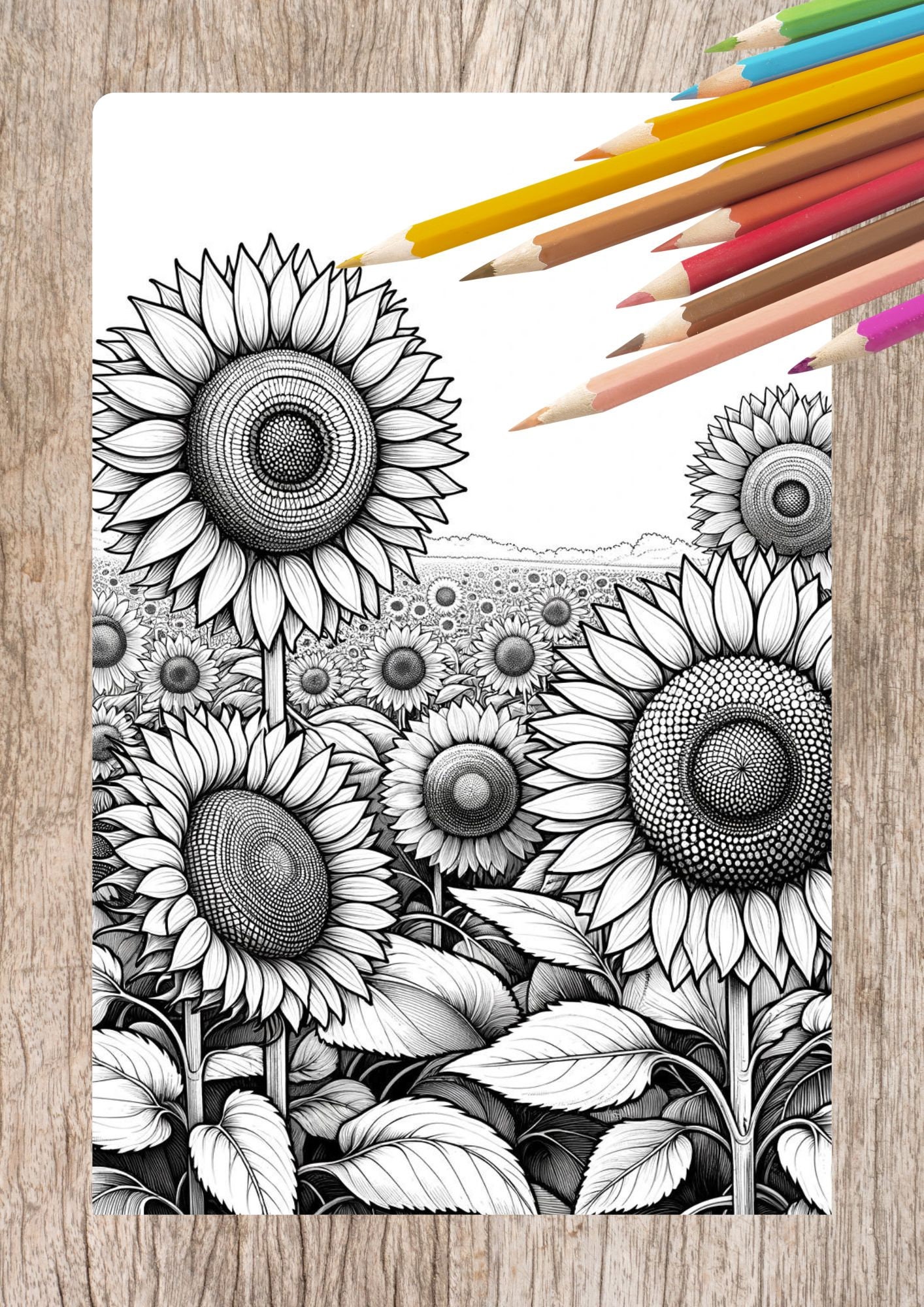 Adult Coloring Page | Sunflower| Instant Download I Printable Coloring ...
