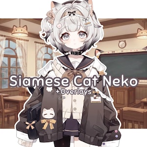 Puede incluir: Un personaje de estilo anime con orejas de gato y uniforme escolar. El personaje tiene cabello blanco y gris, ojos grandes y un collar negro. El uniforme incluye una chaqueta marrón con un diseño de gato y el texto "Siamese Cat Neko + Overlays".