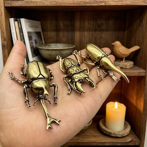 May include: Three brass beetle figurines with intricate details are displayed. The beetles vary in size and design, showcasing different species. The figurines are held in a hand, with a wooden shelf and other decorative items in the background.