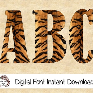Tiger Fur Font Clipart, Instant Download, Upper & Lower Case Letters + Numbers + Symbols, Commercial Use OK