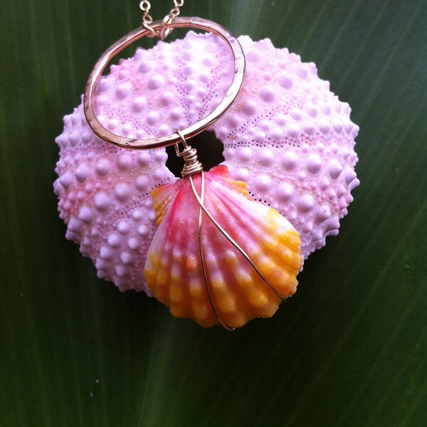 Gorgeous Sunrise Shell Karma Circle Necklace