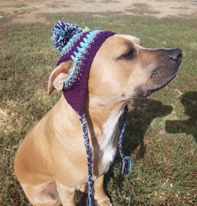 Crochet Striped Dog Hat with Pom Pom Warm Dog Hat Fur Baby Etsy