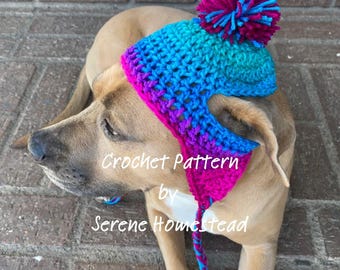 May include: A crocheted pet hat featuring a vibrant gradient of blue, teal, and magenta yarn with a large multi-colored pom-pom on top, ear holes, and braided ties. The text Crochet Pattern by Serene Homestead is overlaid on the image.