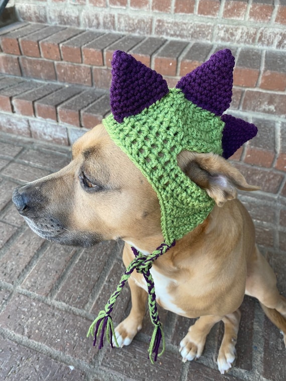 Green dog hat hotsell