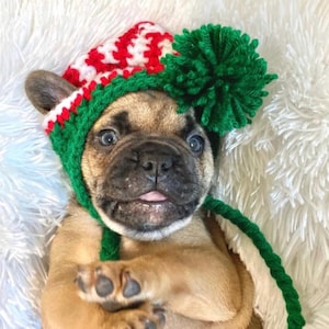 Crochet Elf Dog Hat | Christmas Dog Beanie with Earflaps and Braids | Holiday Pet Costume | Fur Baby Gift | Cherry Red White Green