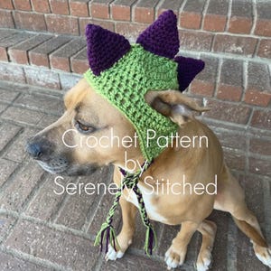 May include: A brown and white dog wearing a green and purple crocheted dinosaur hat with a matching green and purple crocheted strap. The hat has spikes on top and the strap has tassels. The dog is sitting on a brick patio. The text "Crochet Pattern by Serenely Stitched" is visible on the image.