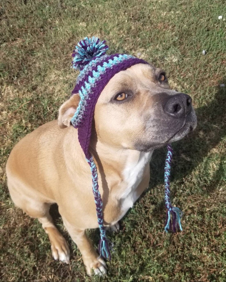 Crochet Striped Dog Hat with Pom Pom Warm Dog Hat Fur Baby Etsy