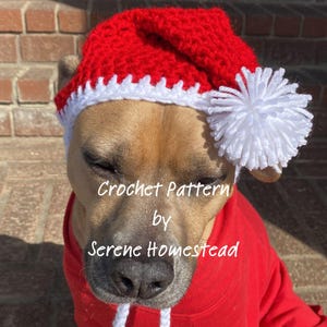 May include: A red and white crocheted hat with a white pom-pom on the side. The hat features a textured red crown and a white brim. Text on the image reads Crochet Pattern by Serene Homestead. The hat is worn by a tan dog wearing a red shirt.