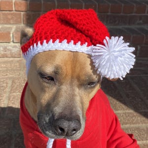 Crochet Santa Dog Hat with Earflaps and Braids, Fur Baby Gift, Cherry Red & White
