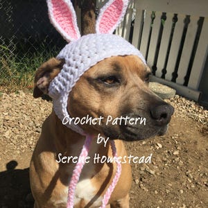 May include: A white crochet hat with long pink and white bunny ears and braided ties. The hat features the text Crochet Pattern by Serene Homestead. The hat is worn by a tan dog with a black nose, visible from the side profile in an outdoor setting.