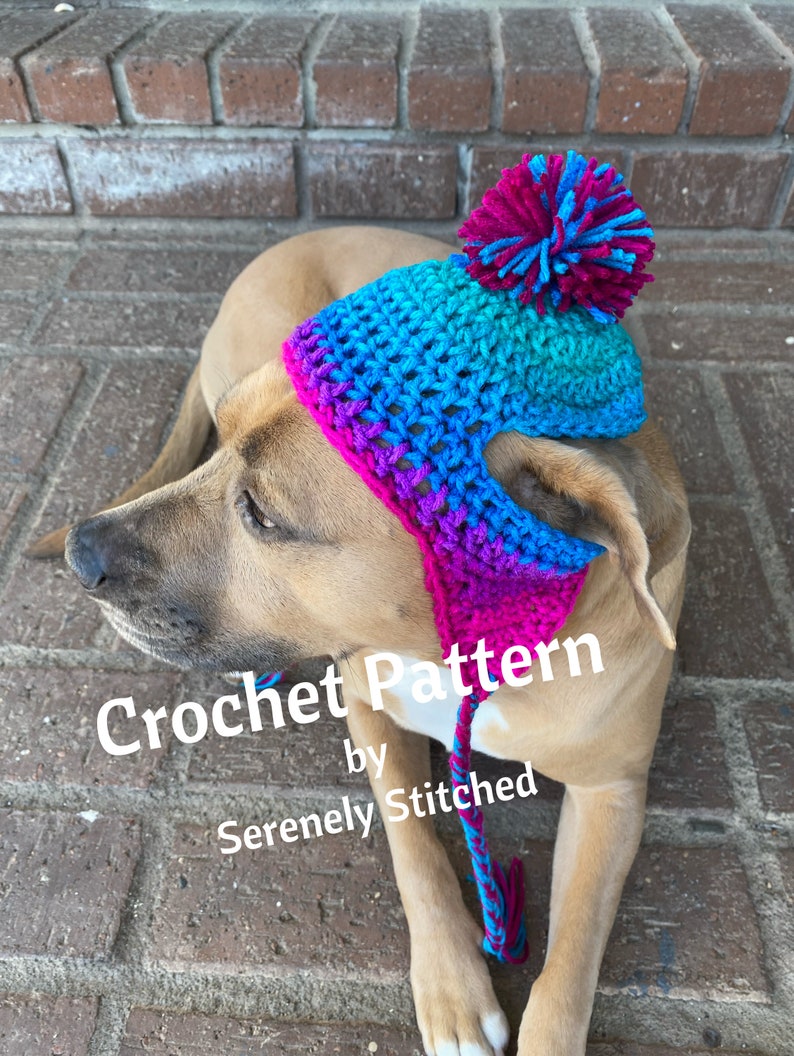 May include: A brown dog wearing a crocheted hat with a pink, blue, and teal ombre design. The hat has a fluffy pom-pom on top and a long tassel. The text "Crochet Pattern by Serenely Stitched" is visible in the image.