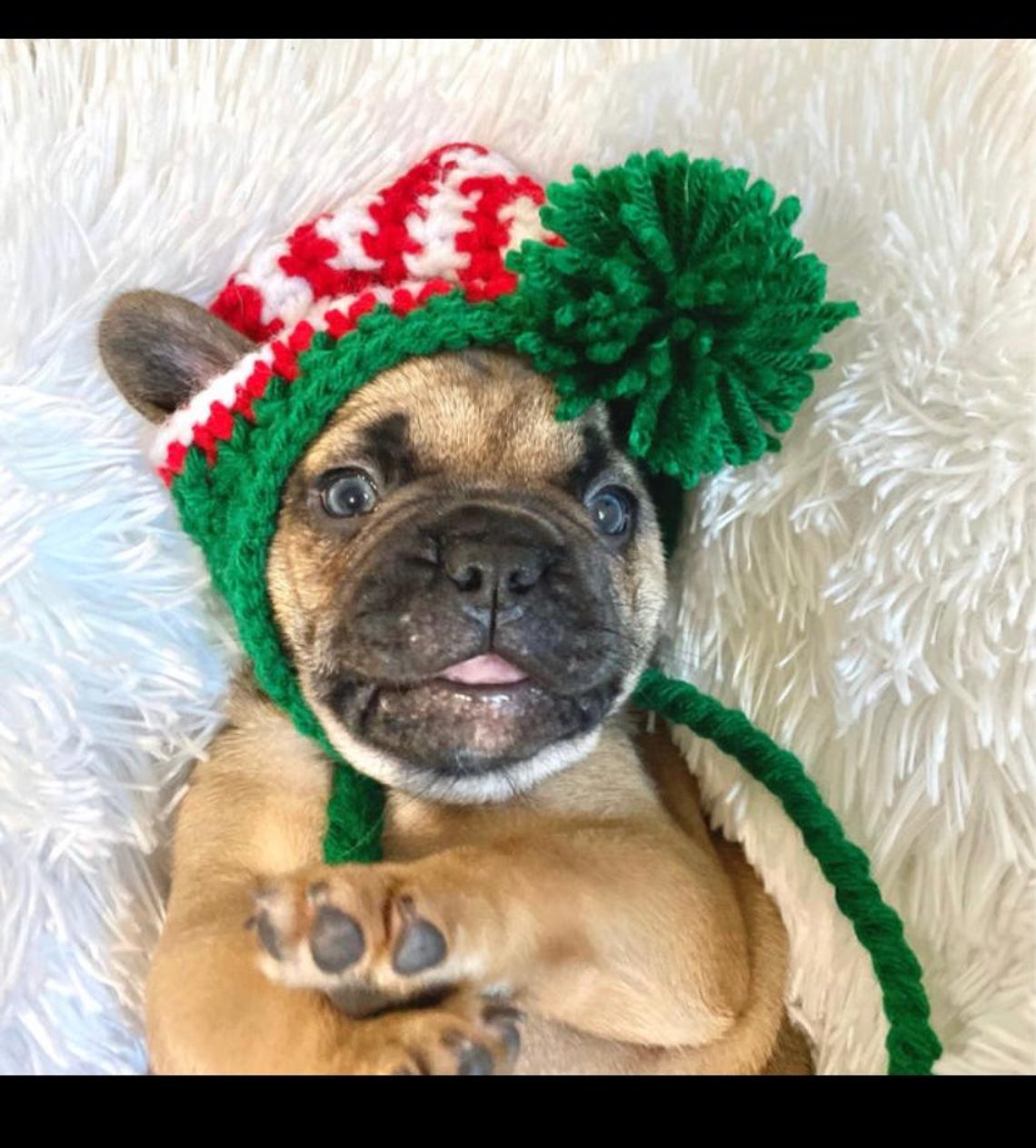 Crochet Dog Hat Pattern Bundle | 6 Earflap Hat Patterns With Braids ...