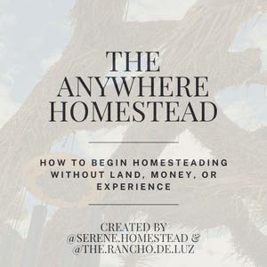 May include: A poster with the title "THE ANYWHERE HOMESTEAD" in a bold font. The text below reads "HOW TO BEGIN HOMESTEADING WITHOUT LAND, MONEY, OR EXPERIENCE." The background has a blurred, natural texture.