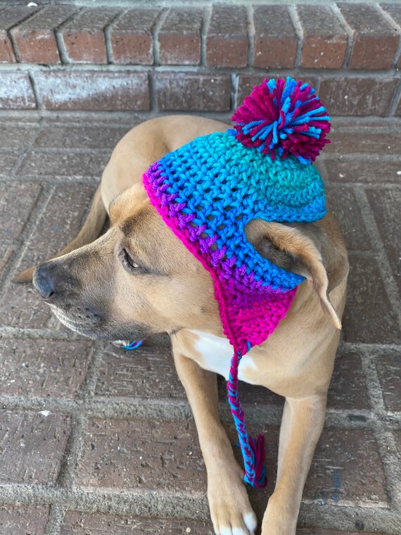 Polo dog cheap beanie