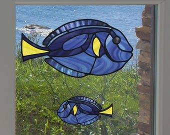 Clr Wnd Tropical Fish Blue Tang Palette Surgeonfish Etsy Uk Clr Wnd Tropical Fish Blue Tang Palette Surgeonfish Etsy Uk