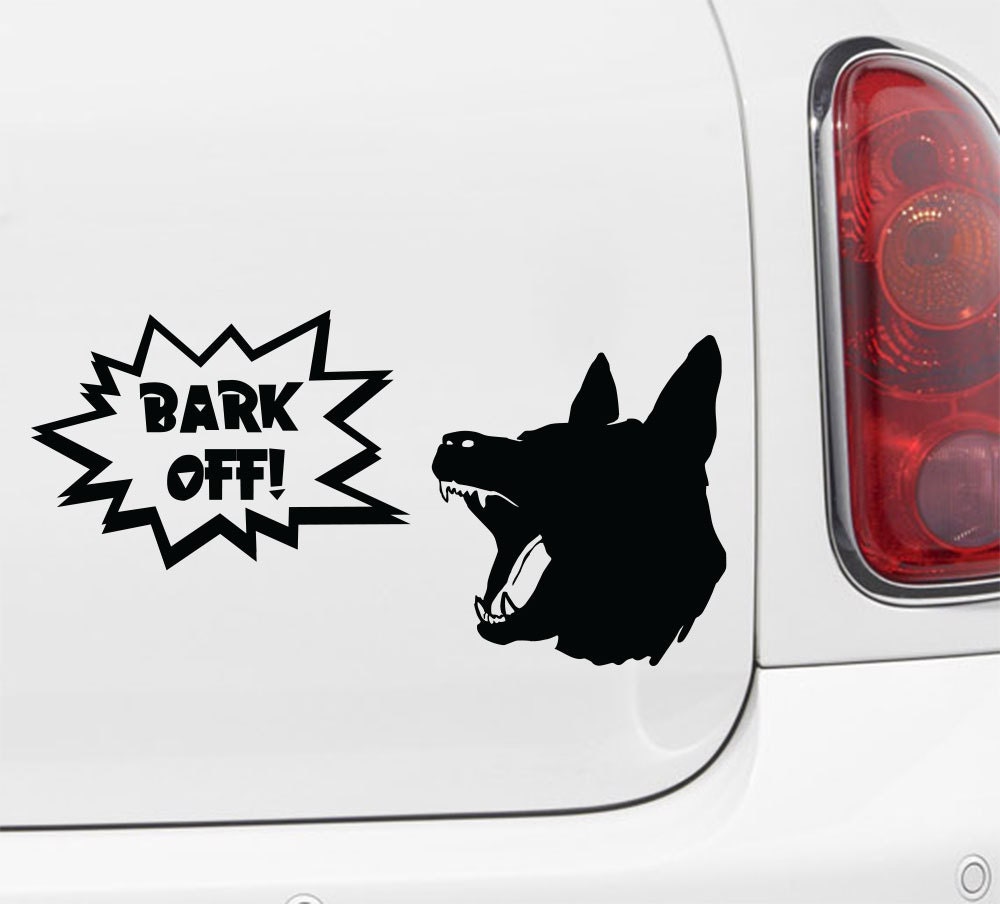 Why Do Dogs Bark At Moving Cars