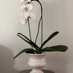 Vintage Ivory Pedestal Planter | Originals USA Ceramic Planter | Speckled Pottery Urn | Footed Planter | Mid Century Home Decor