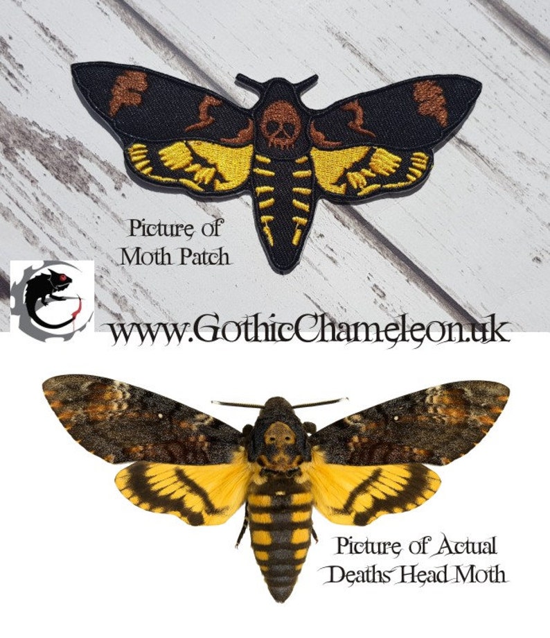 Deaths Head Moth Embroidered Patch Applique Gothic Emo Punk Brown & Yellow