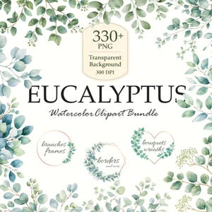 Può includere: Un pacchetto di clipart ad acquerello con foglie e rami di eucalipto. L'immagine include il testo "EUCALYPTUS Watercolor Clipart Bundle" e dettagli sul formato PNG, sfondo trasparente e risoluzione 300 DPI. Sono mostrati anche esempi di cornici, bordi e ghirlande.