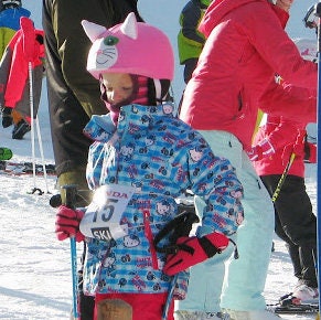 170 ideas de Funda casco de ski  cascos de esquí, esquí, gorras de animales