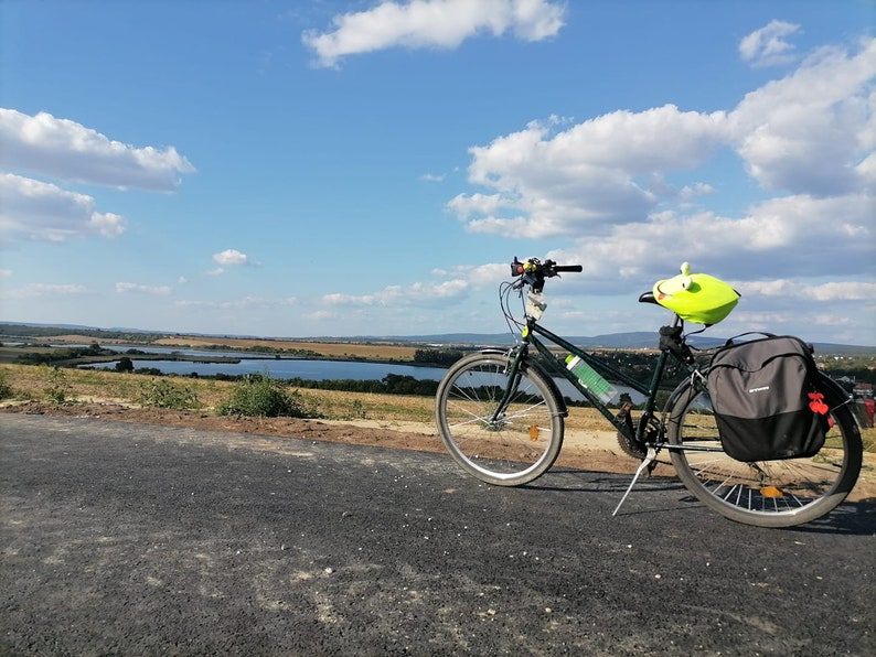 Pode incluir: Uma bicicleta verde com um selim preto e uma bolsa de selim verde e amarela. A bicicleta est&aacute; estacionada em uma estrada pavimentada com um lago e um campo ao fundo.