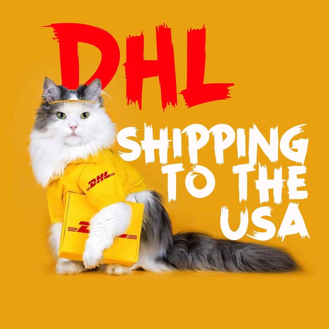 DHL express shipping service to the USA without product Etsy