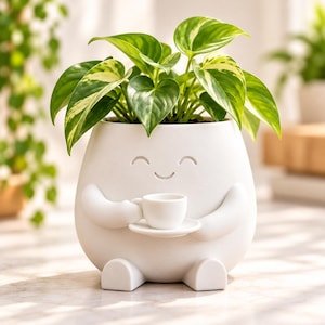 May include: A white ceramic planter shaped like a seated figure with a smiling face, holding a small matching cup and saucer. The planter contains a green and cream variegated heart-shaped leaf plant with a smooth matte finish.