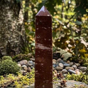 Pode incluir: Uma torre de cristal castanho-avermelhado escuro polido com um topo pontiagudo e uma base hexagonal. A pedra apresenta inclusões subtis brancas e castanho-claras em toda a superfície, criando um aspeto natural e manchado nas faces verticais.