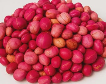 4 oz Fresh Organic Hand Picked FOUR  lobes Only Kola nuts 1/4 lb