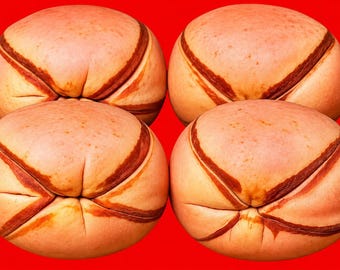 4 pcs Fresh Organic Hand Picked FOUR  lobes Only Kola nuts