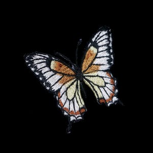 Danaus melanippus patch, butterfly Patch, Iron-On Applique for Jackets, Jeans