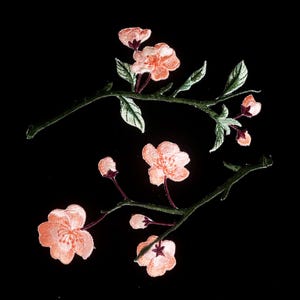 May include: Embroidered floral design featuring peach-colored blossoms and buds on dark green branches with green leaves. The design is set against a solid black background, creating a striking contrast. The flowers have a detailed, textured appearance.
