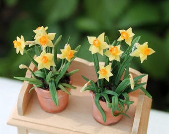 Flower miniature Daffodils Narcissus in terracotta pot 1:12 scale, handmade dollhouse plants