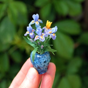 Puede incluir: Un ramo en miniatura de flores de iris azul claro con detalles amarillos y hojas verdes, dispuesto en un pequeño jarrón azul oscuro texturizado y moteado. El arreglo floral presenta múltiples pétalos y tallos delicados y compactos.