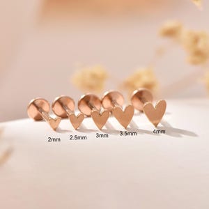Könnte beinhalten: Ohrstecker in Herzform aus Roségold in verschiedenen Größen, von 2 mm bis 4 mm. Die Ohrringe sind auf einem weichen, neutralen Hintergrund präsentiert. Das Bild zeigt das zarte Design und die polierte Oberfläche der Ohrringe.