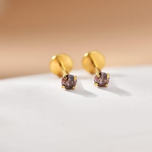Könnte beinhalten: Ein Paar goldfarbene Ohrstecker, jeweils mit einem kleinen, runden, lila Edelstein. Die Ohrringe sind vor einem weichen, neutralen Hintergrund platziert, der ihre schlichte Eleganz hervorhebt. Die Ohrstecker sind klein und zierlich.