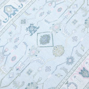 May include: A light blue area rug with an intricate floral pattern in shades of pink, green, and blue. The rug has a border with geometric and floral designs. The rug is made of a soft, woven material.