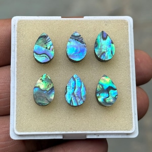May include: Six teardrop-shaped abalone shell cabochons. The iridescent shells display a mix of blues, greens, and purples. Each cabochon is set in a dark base and presented in a white plastic case with a beige interior. These are ideal for jewelry making.