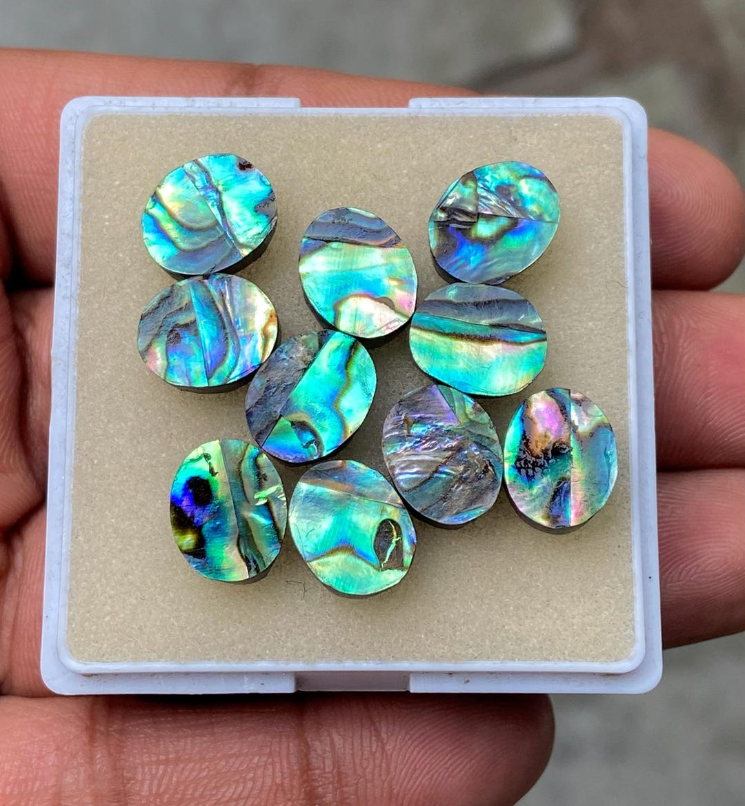 AAA+ Abalone Shell Cabochon: Oval Flat Back Gemstone - Etsy