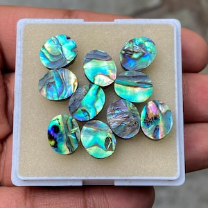 May include: A collection of nine oval-shaped abalone shells, showcasing iridescent blues, greens, and purples. The shells are displayed in a white plastic container with a beige interior, highlighting their natural beauty. The shells are approximately 1 inch in length.
