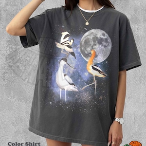 Könnte beinhalten: Ein anthrazitfarbenes Kurzarm-T-Shirt mit einem Grafikdruck von drei Vögeln, darunter ein Säbelschnäbler und ein Stelzenläufer, vor einem sternenklaren Nachthimmel mit einem großen Vollmond. Das T-Shirt hat einen Rundhalsausschnitt und eine lockere Passform.