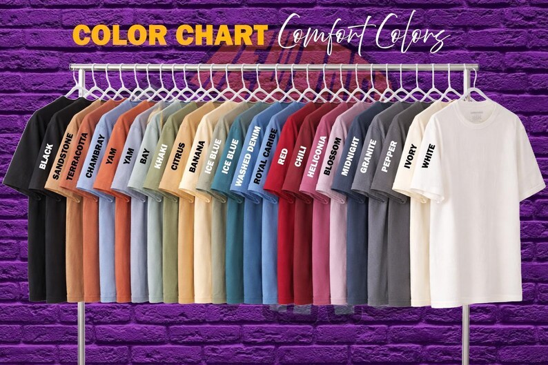 Tres camisetas retro con estampado de arañas saltarinas, camiseta vintage de Halloween con luna, camiseta de araña, araña divertida, lavada de gran tamaño, camiseta de araña saltarina imagen 6
