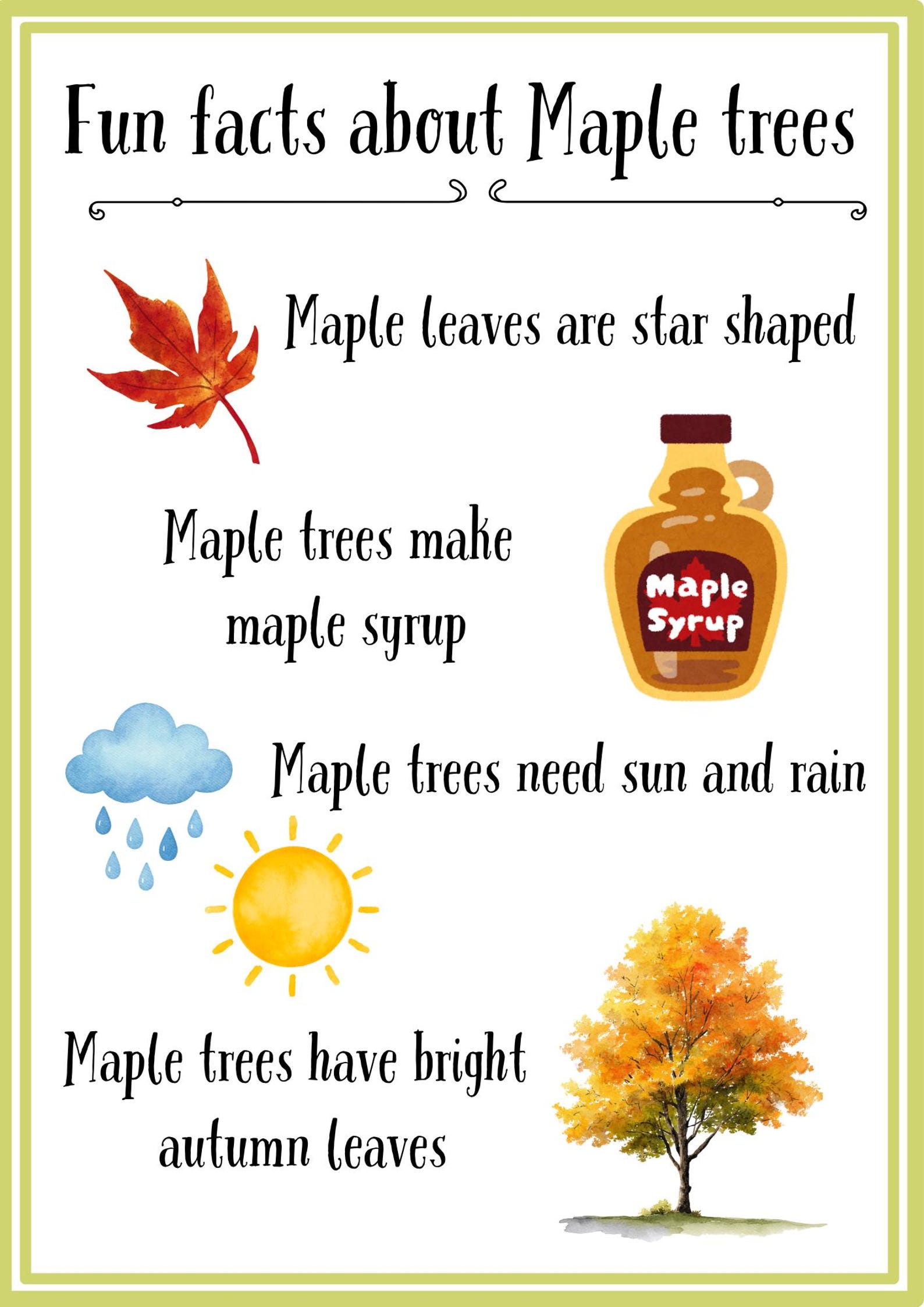 Printable Tree Fun Facts for Kids, Preschool Nature Learning Pack ...