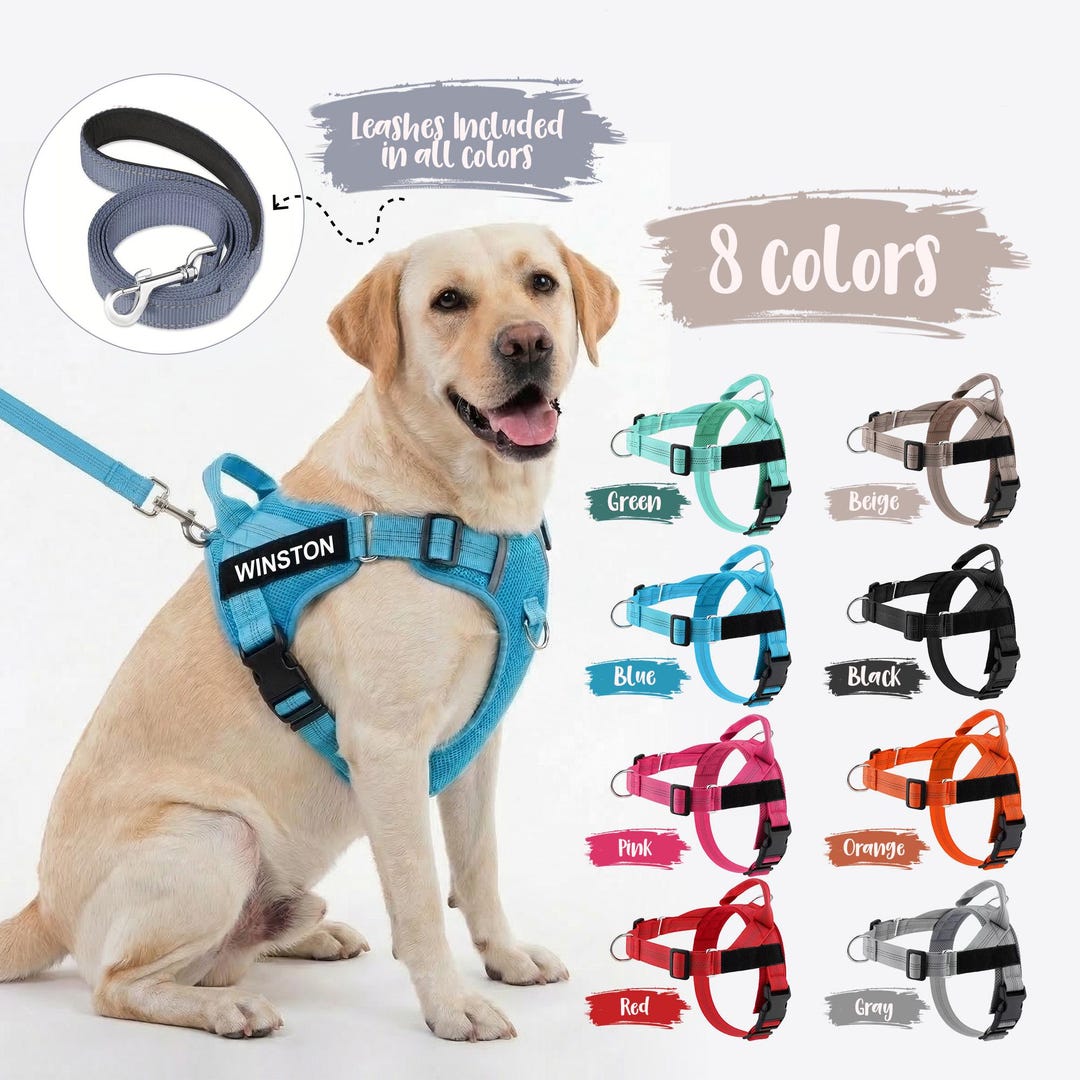 Personalized Dog Harness and Leash Set, Custom Pet Harness, Tactical ...