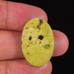 Peut inclure: Une pierre précieuse ovale de couleur vert clair, parsemée de taches sombres et de veines brunes. La surface polie de la pierre reflète la lumière, mettant en valeur ses motifs naturels. La pierre est tenue entre les doigts.