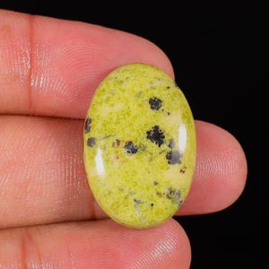 Puede incluir: Gema ovalada con base verde claro e inclusiones negras. La piedra pulida se sostiene entre los dedos sobre un fondo negro, resaltando sus patrones naturales. La gema mide aproximadamente 3,8 cm de largo.